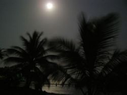 Casa Tranquila at night - Stary, stary night in Utila. by Lisa Armstrong 